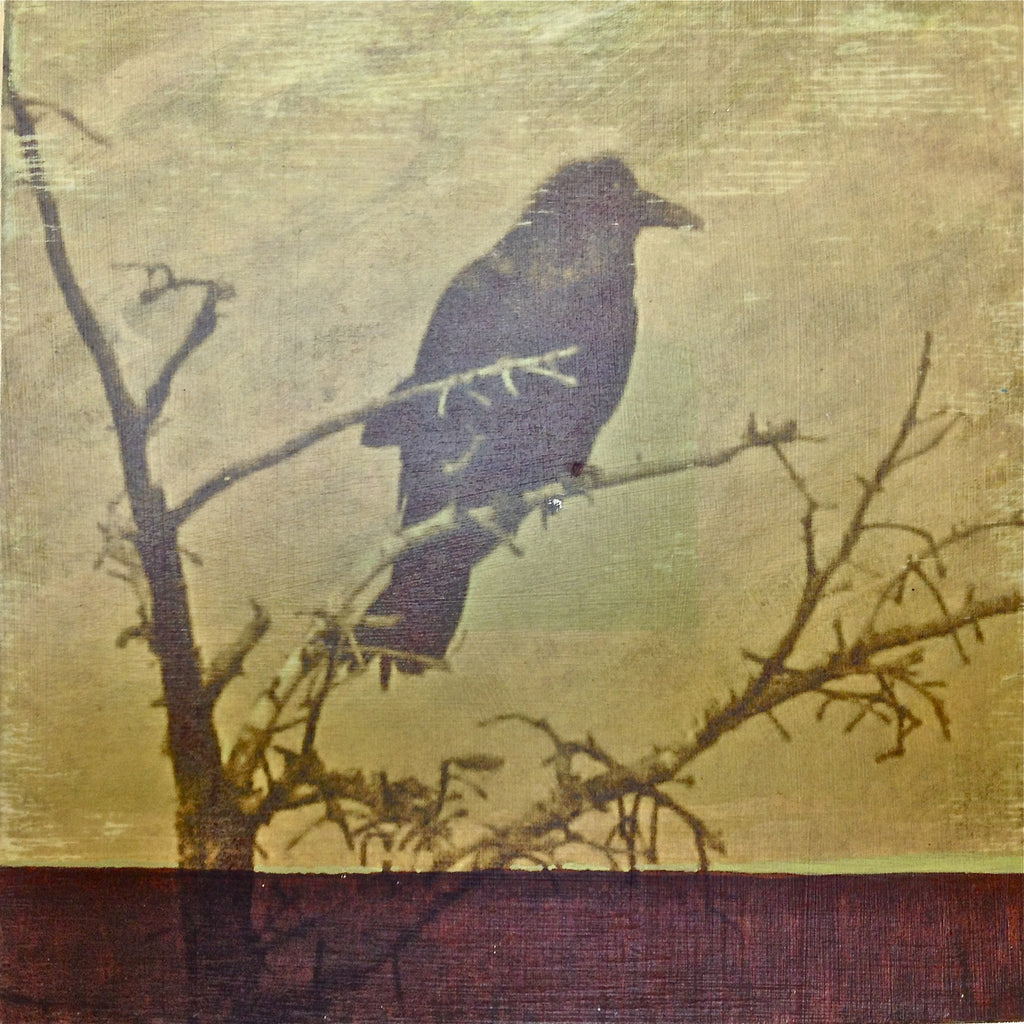 "Crow" Sold