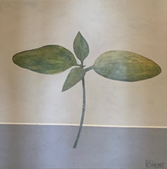 FIRST GROWTH