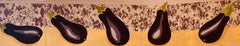 "EGGPLANTS ON A ROLL" SOLD