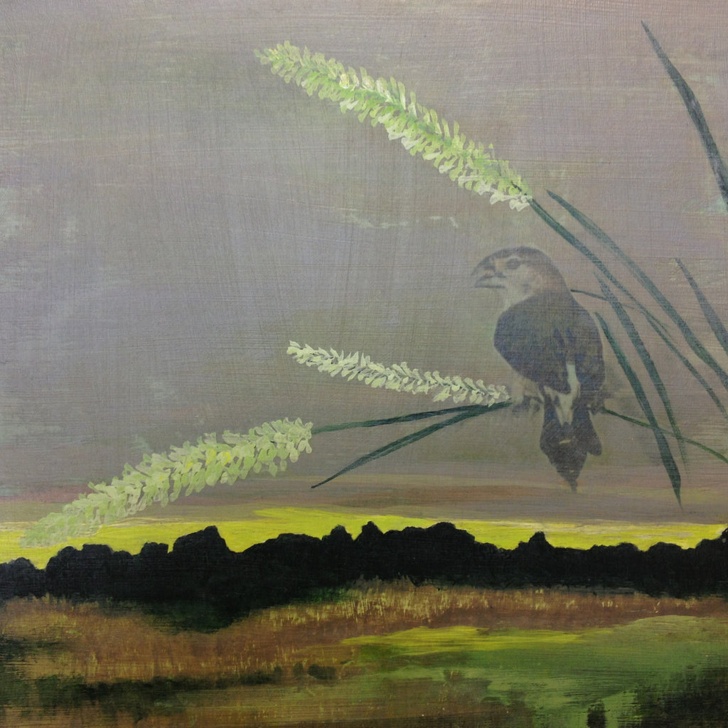 "Timothy Grass" Sold